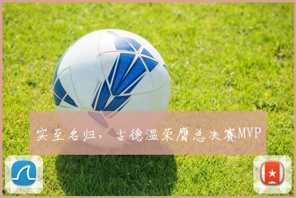 实至名归，古德温荣膺总决赛MVP
